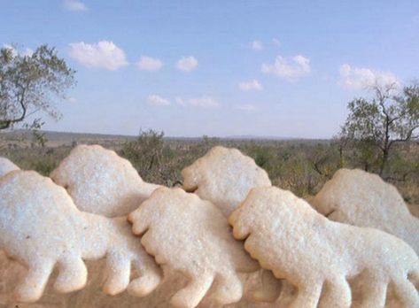 A lovely sugar cookie that is perfumed with mace and that I add vanilla sugar to. Perfect all year round. Yield depends on the size that you make the cookies. Kinds Of Cookies, Spice Cookies, Cookie Exchange, Herb Seeds, Vanilla Sugar, Pastry Cake, No Bake Treats, Cookie Desserts, Cookies Recipe