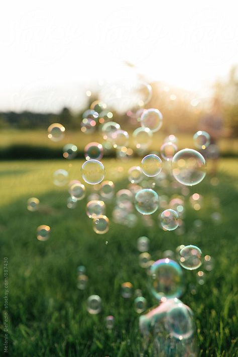 Bubble Magic, Bubbles Photography, Calming Images, Bubble Pictures, Garden Diary, Birthday Wishes Messages, Blowing Bubbles, Photography Challenge, Soap Bubbles