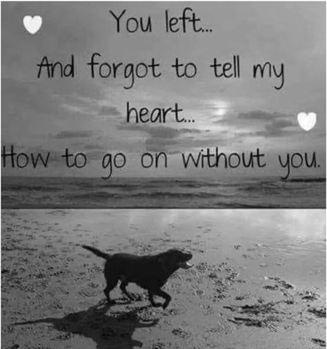 Losing A Pet Quotes, Dog Heaven Quotes, Lou Dog, Miss My Dog, Dog Poems, Dog Quotes Love, Dog Heaven, Pet Remembrance, Losing A Dog