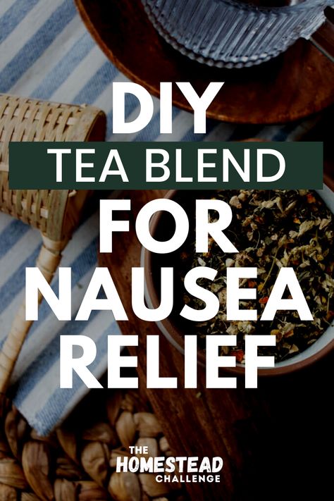 Find relief and comfort with our Best Herbal Tea Recipe for Nausea Relief! ☕🌿 Dive into our latest blog post for a carefully crafted blend of herbs known for their soothing properties. Whether it's an upset stomach or motion sickness, this tea recipe aims to bring relief naturally. Learn about the calming benefits of ingredients like ginger and peppermint, and discover a comforting remedy for moments of nausea. 🍵🌼 #HerbalTeaForNausea #NaturalRemedies #TeaTimeWellness #herbalism Tea For Mucus Relief, Herbs For Nausea, Teas For Headaches, Healthy Teas Recipes, Evergreen Herbs, Sick Food, Mucus Relief, Teas Recipes, Herbal Tea Garden