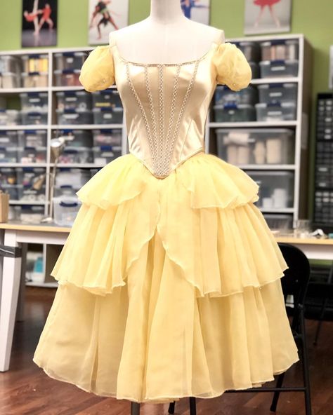 Beauty And The Beast Ballet, Romantic Tutu, Ballet Shows, The Beauty And The Beast, Ballet Costume, Disney Princess Dresses, Magic Mirror, Ballet Costumes, Princess Dresses