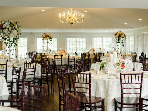 ANTRIM- potted hanging plants from ceiling Hang Plants From Ceiling, Hanging Plants Diy, Classic Party, Indoor Trees, Plant Shelves, Diy Plants, Royal Wedding, Pumpkin Spice Latte, Tree Designs