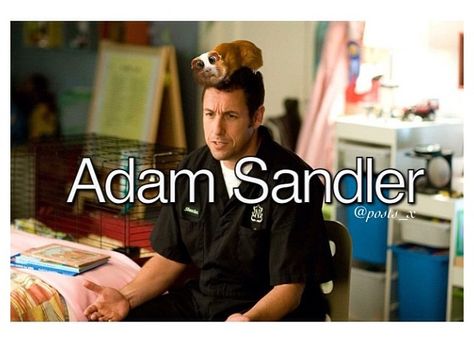 •Adam Sandler• Bedtime Stories Movie, 50 First Dates, Kevin James, The Wedding Singer, Family Movie Night, Adam Sandler, Family Movies, Film Producer, Movie Releases