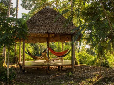 The hammock area is the perfect place to relax and enjoy spectacular views of the Alto Madre de Dios river. The view at sunrise and sunset is particularly beautiful.  #peru #amazon #lodge #relax Hammock Area, Bahay Kubo, Bungalow Cottage, Hostels Design, Backyard Shade, Outdoor Hammock, Art Area, Tree House Designs, Tropical House