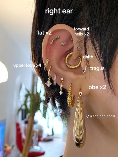 Different Earrings In Each Ear, Where Should I Get My Ears Pierced, Earring Names Chart, Ear Peirce Chart Pain, Peircings Earring Ideas Names, Piercing Chart Ear Labeled, Ear Piercing Ideas Chart Names, Eat Piercing Placement Chart, Ear With Lots Of Piercings