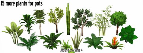 Around The Sims 4, The Sims 4 Custom Content, Pots Plants, Outside Plants, Play Sims 4, Sims 4 Cc Kids Clothing, Plants Pots, Sims 4 Mm Cc, Play Sims