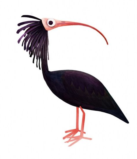 Northern Bald Ibis by Brendan Wenzel Ibis Illustration, Brendan Wenzel, Bird Artists, Art Beat, Jane Goodall, Funny Birds, Creature Feature, Love Illustration, Bird Illustration