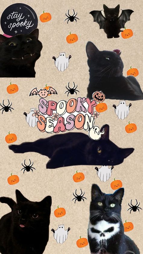 halloween wallpaper Halloween Wallpaper, Halloween