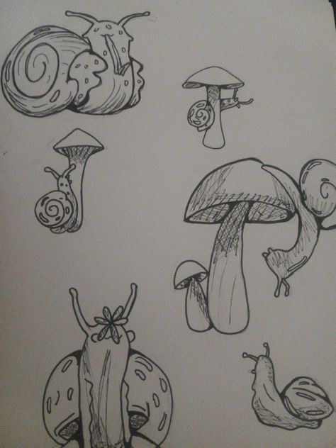 Just different sketches of snails doing snail things Snails And Mushrooms, New Sketchbook, Sketchbook Inspo, Sketchbook Pages, First Page, Art Sketchbook, Sketch Book, Sketch, Drawings