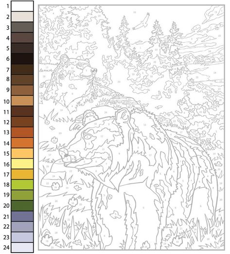 Draw a Bear- Paint by Numbers - Paintology Animal Color By Number Free Printable, Paint By Number Procreate, Advanced Color By Number, Paint By Number Template, Colour By Numbers For Adults, Color By Number Printable Free Difficult, Paint By Number Printable Templates, Trace Drawing, Painting Learning