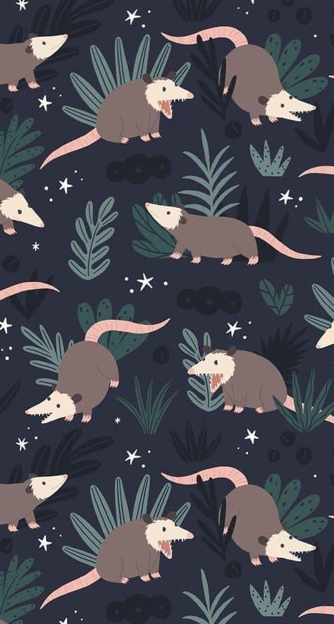 Backgrounds Funny Wallpapers, Possum Background, Cute Possum Art, Animal Wallpapers For Phone, Opossum Wallpaper, Possum Wallpaper, Wallpaper Backgrounds Pattern, Silly Wallpapers, Raccoon Wallpaper