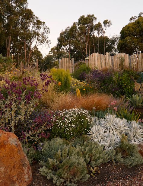 Sloping Garden, Australian Native Garden, Sloped Garden, Australian Garden, Village House, Native Garden, Slow Life, Perennial Garden, Landscape Nature