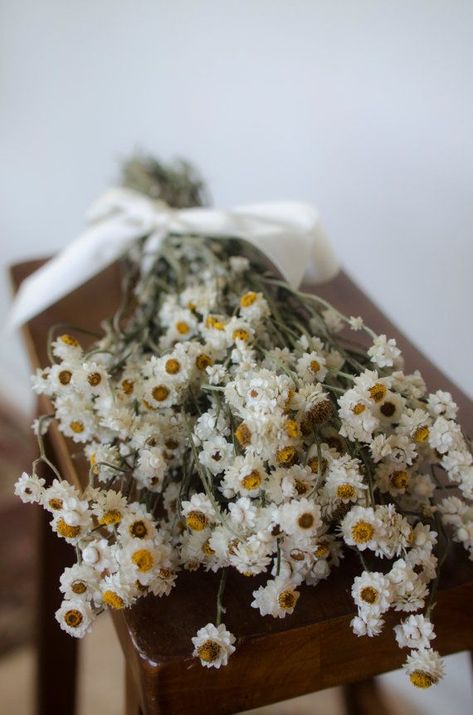 Hello Monday, White Wedding Flowers, Flowers White, Dried Floral, Dried Flower Bouquet, Wedding Flower Arrangements, Flowers Diy, Diy Flowers, Pressed Flowers