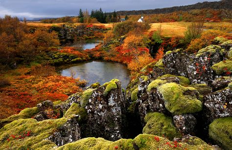 https://flic.kr/p/gtTQ9e | Autumn at Thingvellir, Iceland | Haust á Þingvöllum Show Beauty, Fall Foliage, Earth Tones, Iceland, All Over The World, Travel Destinations, Nature Photography, Wonder, Water