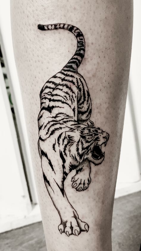 Black Fineline tiger tattoo on shin. Tiger Line Tattoo, Shin Tattoo, Tiger Tattoo Design, Small Arm Tattoos, Old Tattoos, Line Tattoo, Back Tattoo Women, Line Work, Tiger Tattoo