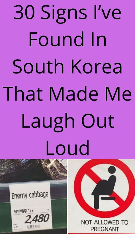 30 Signs I’ve Found In South Korea That Made Me Laugh Out Loud Laugh Out Loud Funny Pictures Lol, Laugh Out Loud Funny, Funniest Pictures, Laughing Out Loud, Different Animals, Made Me Laugh, Hollywood Photo, Laugh Out Loud, Funny Animal Pictures