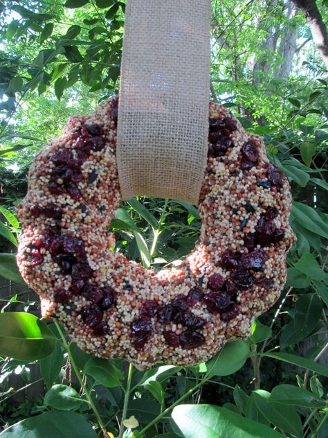 Diy Bird Seed, Bird Seed Wreath, Make A Bird, Make A Bird Feeder, Dried Wreath, How To Tie Ribbon, Diy Bird Feeder, My Tea, Diy Birds