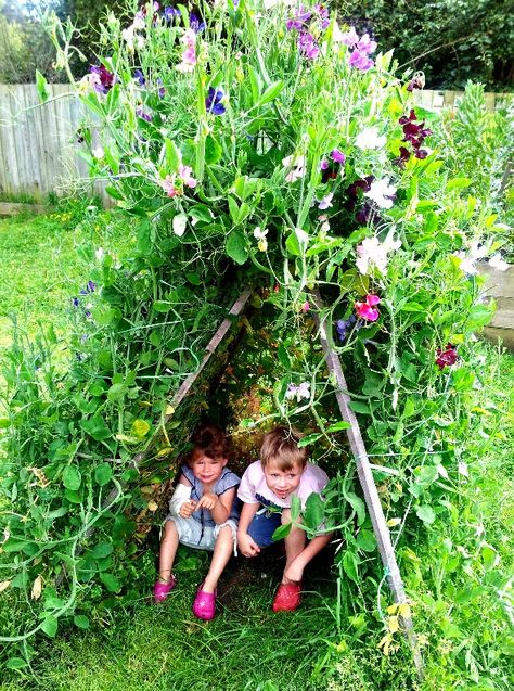 Sweet Pea Tepee Branches With Leaves, Flowers Growing, Sensory Garden, Children's Garden, School Garden, Have Inspiration, Veggie Garden, Garden Cottage, Gardening For Kids