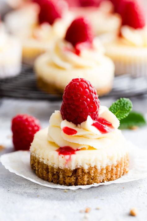 Try these super easy, small batch mini cheesecakes from Anna Banana Co! These wonderfully creamy, bite-size treats are ideal when you fancy a dessert but don't want to bake a whole cake! Simple ingredients and minimal baking time! #dessert #minicheesecake #cheesecake Easy Mini Cheesecakes, Mini Cheesecakes Easy, Individual Cheesecakes, Whole Cake, Cake Simple, Anna Banana, Treats Recipes, Digestive Biscuits, Sweet Treats Recipes