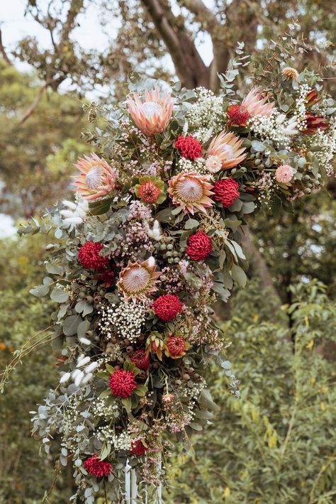 Max and Ophelia's wedding arbour features red Waratahs, pink King Proteas, white bunny tails and native Gum leaves and pods. Waratah Flower, Protea Wedding, Mums Wedding, French Country Wedding, Gum Leaves, Dawn Photography, Flowers For Wedding, Australian Flowers, Protea Flower