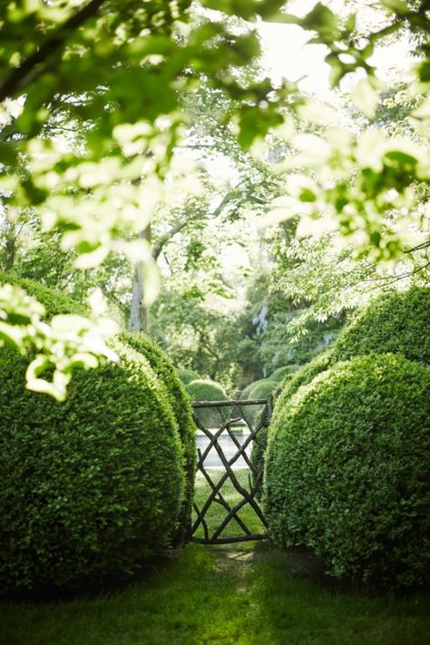 Inside the home and garden of designer Miranda Brooks - Vogue Australia Miranda Brooks, Formal Garden, Formal Gardens, Garden Gate, Romantic Garden, Green Garden, Garden Cottage, Country Gardening, Garden Gates