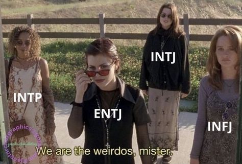 Entj X Infj Relationship, Infj X Intp Relationships, Entj And Intp Relationship, Intp Infj Relationship, Intj Intp Relationships, Entj X Intp Relationship, Entj And Intj, Entj X Infj, Intp X Infj