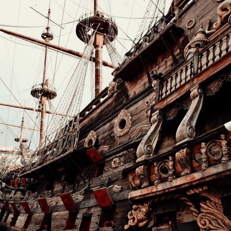 Old Pirate, Pirate Aesthetic, Steampunk Pirate, Pirate Queen, Aesthetic Core, School For Good And Evil, Sea Of Thieves, Royalty Aesthetic, The Pirate King