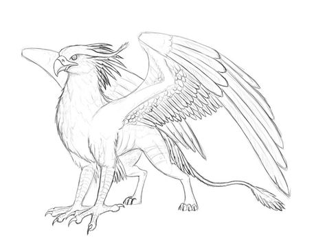 Griffin Drawing, Arte Viking, Fantasy Drawings, Mythical Animal, Creature Drawings, Mythical Creatures Art, Dragon Drawing, Mythological Creatures, Animal Sketches