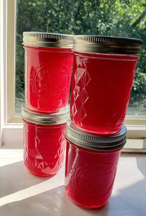 Small Batch Scuppernong Grape Jelly - Grits and Gouda Muscadine Jelly Recipe Small Batch, Canning Jelly, Muscadine Jelly, Blueberry Jam Recipe, Strawberry Freezer Jam, Easy Canning, Grape Jam, Grape Recipes, Homemade Jelly