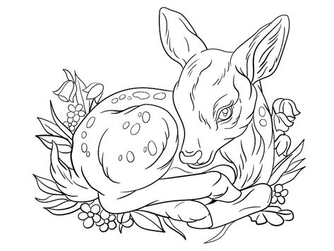 Baby Deer Tattoo, Deer Outline, Fawn Tattoo, Deer Coloring Pages, Sleeping Drawing, Deer Signs, Deer Tattoo, Sleeping Animals, Deer Pictures