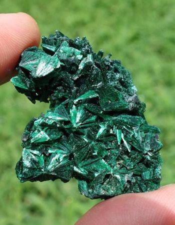 Shop Raw Crystals & Rough Gemstones! Malachite #3 ~ ONE Small Raw Fibrous African Malachite Crystal Mineral Specimen ~ 25 Grams ~ 1.5 Inch | Natural genuine stones & crystals in various shapes & sizes. Buy raw cut, tumbled, or polished gemstones for making jewelry or crystal healing energy vibration raising reiki stones. #crystals #gemstones #crystalhealing #crystalsandgemstones #energyhealing #affiliate #ad Stellium Astrology, Malachite Meaning, Vibration Raising, Crystals Shop, Raw Malachite, Energy Vibration, Green Stone Jewelry, Crystal Shelf, Polished Gemstones