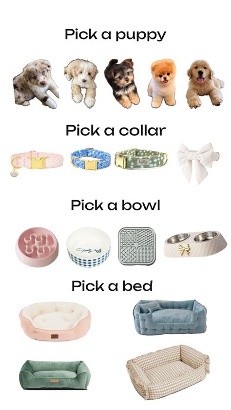 Cute Stuff For Dogs, Dog Age Chart, Stuff For Dogs, Pet Aesthetic, Spoiled Puppy, Puppy Items, New Puppy Checklist, Making A Gift Basket, Puppy Checklist