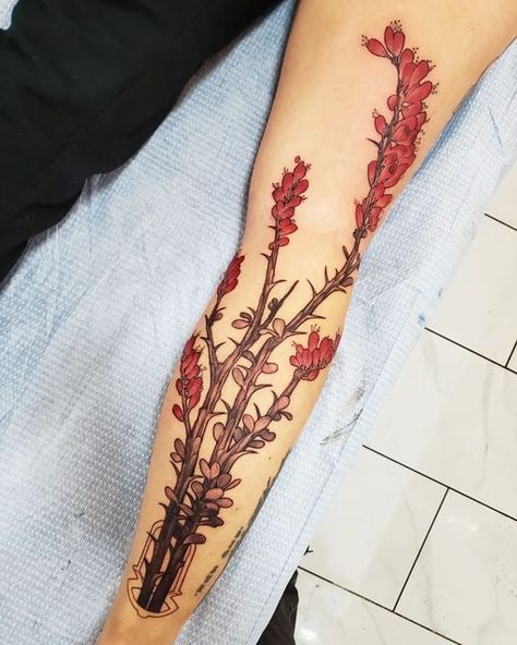 Desert Wildflower Tattoo, Sonoran Desert Tattoo, Creosote Tattoo, Ocotillo Tattoo, Desert Flower Tattoo, Southwest Tattoo, Tucson Tattoo, Desert Tattoo, Bloom Tattoo