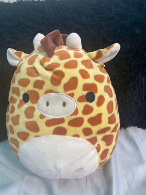 Squash Mellow Plush, Squash Mellows, Giraffe Squishmallow, Music Themed Bedroom, Squish Mallows, Squish Mellow, Cute Squishies, Phone Wallpaper Boho, The Giraffe