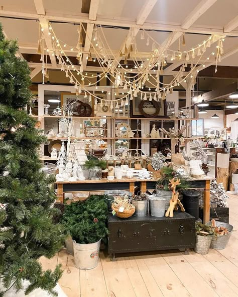 Holiday Retail Display Ideas, Winter Boutique Display, Christmas Merchandising Retail Displays, Christmas Pop Up Shop Display Ideas, Holiday Market Booth Display, Christmas Displays Retail, Christmas Store Decor, Painted Tree Boutique Booth Ideas, Christmas Retail Display