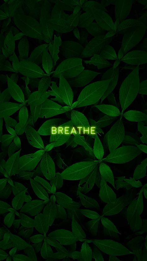 Breathe IPhone Wallpaper - IPhone Wallpapers : iPhone Wallpapers Dark Green Wallpaper, Native American Wisdom, Nature Iphone Wallpaper, Dark Green Aesthetic, Iphone Wallpaper Images, Free Iphone Wallpaper, Green Theme, Wallpapers Iphone, Stunning Wallpapers