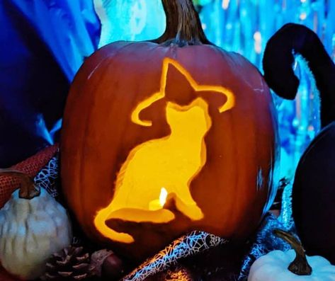 Pumpkin Carving Inspo Easy Cute, Cat Themed Pumpkin Carving, Easy Animal Pumpkin Carving Ideas, Pumkin Carving Cats, Vet Med Pumpkin Carving, Carved Cat Pumpkins, Rat Pumpkin Carving Ideas, Cute But Easy Pumpkin Carving, Witch Cat Pumpkin Carving