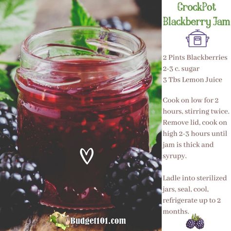 If you have limited time to make jam, you might want to give this slow-cooker method a go! Have you ever used your slow-cooker to make Jam? If not, maybe Crockpot Jam, Strawberry Basil Jam, Grape Jam Recipe, Basil Jam, Black Plums, Blackberry Jam Recipes, Blueberry Jelly, Make Jam, Blueberry Jam Recipe