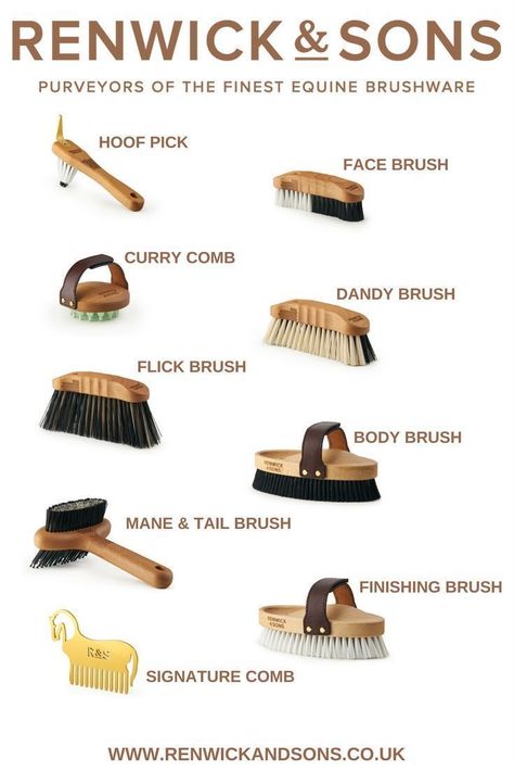 Horse Brushes, Horse Information, Horse Care Tips, Horse Facts, Horse Info, Horse Riding Tips, Horse Equipment, Horse Tips, Horse Grooming