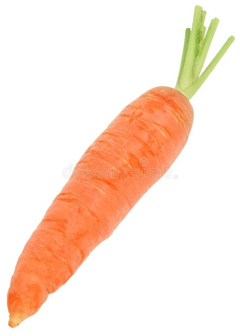 Carrot. Nice fresh carrot isolated over white with clipping path #Sponsored , #sponsored, #Affiliate, #Nice, #carrot, #clipping, #fresh Carrot Picture, Carrot Photo, Fashion Editorial Nature, Preschool Charts, Camel Animal, Bahay Kubo, Art Projects For Adults, Projects For Adults, Big Photo