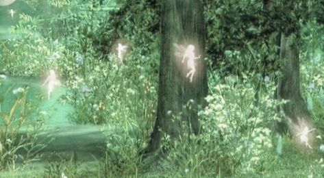 Pixie Hollow, Fairy Aesthetic, Forest Fairy, Magical Forest, Fairy Land, Pixie Dust, Green Aesthetic, Fantasy World, In The Woods