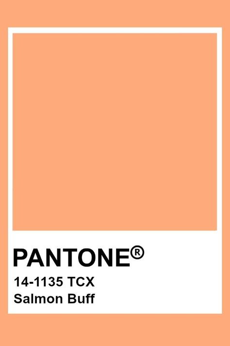 2019-2020 Autumn Winter "Noon" Salmon Buff Pantone Coral Pink, Burnt Pink Aesthetic, Coral Pink Aesthetic, Coral Color Palette, Orange Pantone, Coral Color Schemes, Burnt Pink, Pantone Orange, Coral Pantone