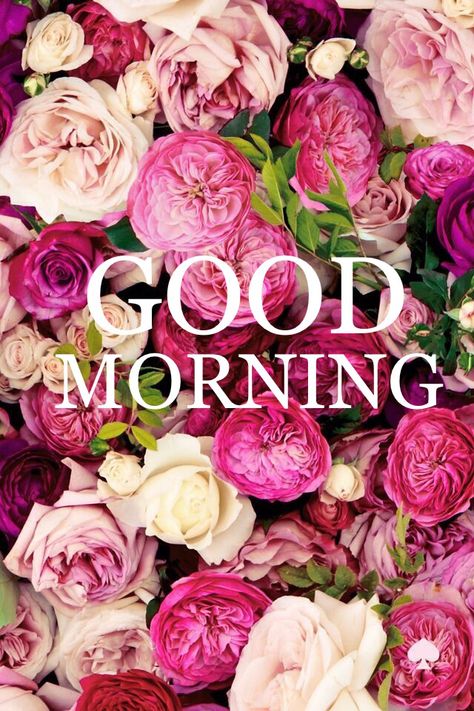 Good Morning... Small Intestine, Hello April, Coming Up Roses, Wallpaper Tumblr, Gastric Bypass, Deco Floral, Beautiful Blooms, Love Flowers, My Flower