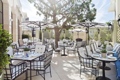 Beverly Hills Restaurants, Peninsula Hotel, Restaurant Patio, Century City, Rodeo Drive, California Style, Best Places To Eat, Dining Room Design, Santa Monica