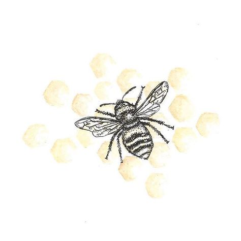 The flower doesn’t dream of the bee. It blossoms and the bee comes - Mark Nepo 🐝 #drawing #illustration #colour #art #watercolour #painting… Colour Art, Art Watercolour, The Bee, Watercolour Painting, Blossom, Bee, Branding, Stud Earrings, Drawings