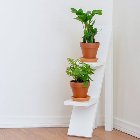 DIY 3 Tiered Corner Plant Stand by Anika’s DIY Life Diy Wooden Planters, Easy Small Wood Projects, Plants Stand, Support Pour Plante, Wood Projects For Beginners, Wooden Planter Boxes, Wooden Plant Stands, Diy Plant Stand, Into The Wood