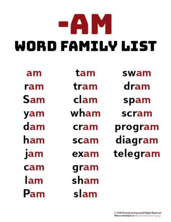 AME Word Family List | Primary Learning Am Word Family, Word Family List, Teaching Vowels, Phonics Reading Passages, Phonics Chart, Phonics Blends, Phonics Posters, Word Family Worksheets, Family Worksheet