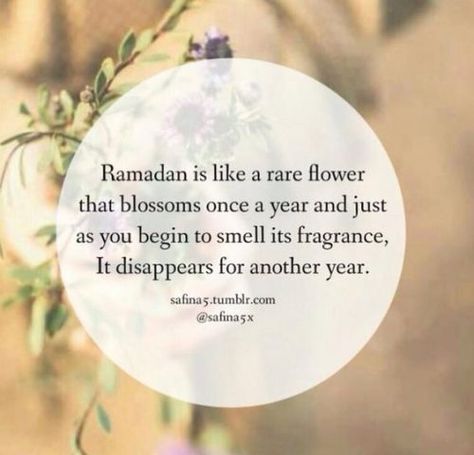 Ramadan quotes in English - These beautiful quotes about ramadan will boost up your imaan if you read them and feel the importance of this blessing month. share you favourite Ramadan quotes from Quran. Best Ramadan Quotes, Ramadhan Quotes, Eid Quotes, Ramadan Karim, Ramadan Wishes, Religion Quotes, Mubarak Ramadan, Ramadan Day, Ramadan Quotes