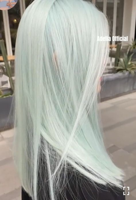 Pastel Mint Hair, White And Green Hair, Mint Hair Color, Light Green Hair, Pastel Green Hair, Wig Closet, Mint Green Hair, Whimsical Hair, Silver Blonde Hair