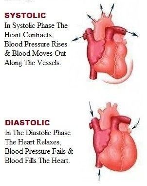 Systolic And Diastolic Blood Pressure, Medical Assistant Student Studying, Systole And Diastole, Nremt Study, Systolic And Diastolic, Medical Assistant School, Emt Study, Medical Terminology Study, Nurse Tips